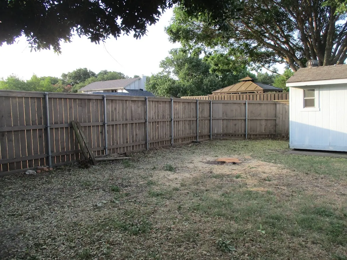 Cleared yard after professional tree removal in Mooers